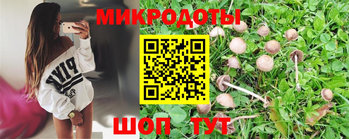 Топки  Галлюциногенные грибы GOLDEN TEACHER  Вход с VPN  где купить наркотик  Галлюциногенные грибы Psilocybine cubensis 