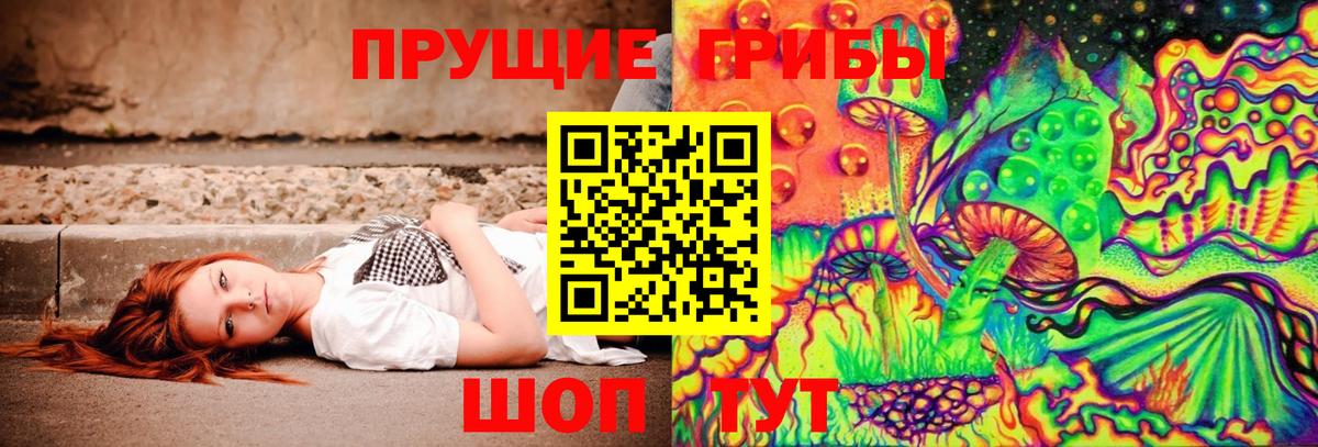 Псилоцибиновые грибы GOLDEN TEACHER Топки